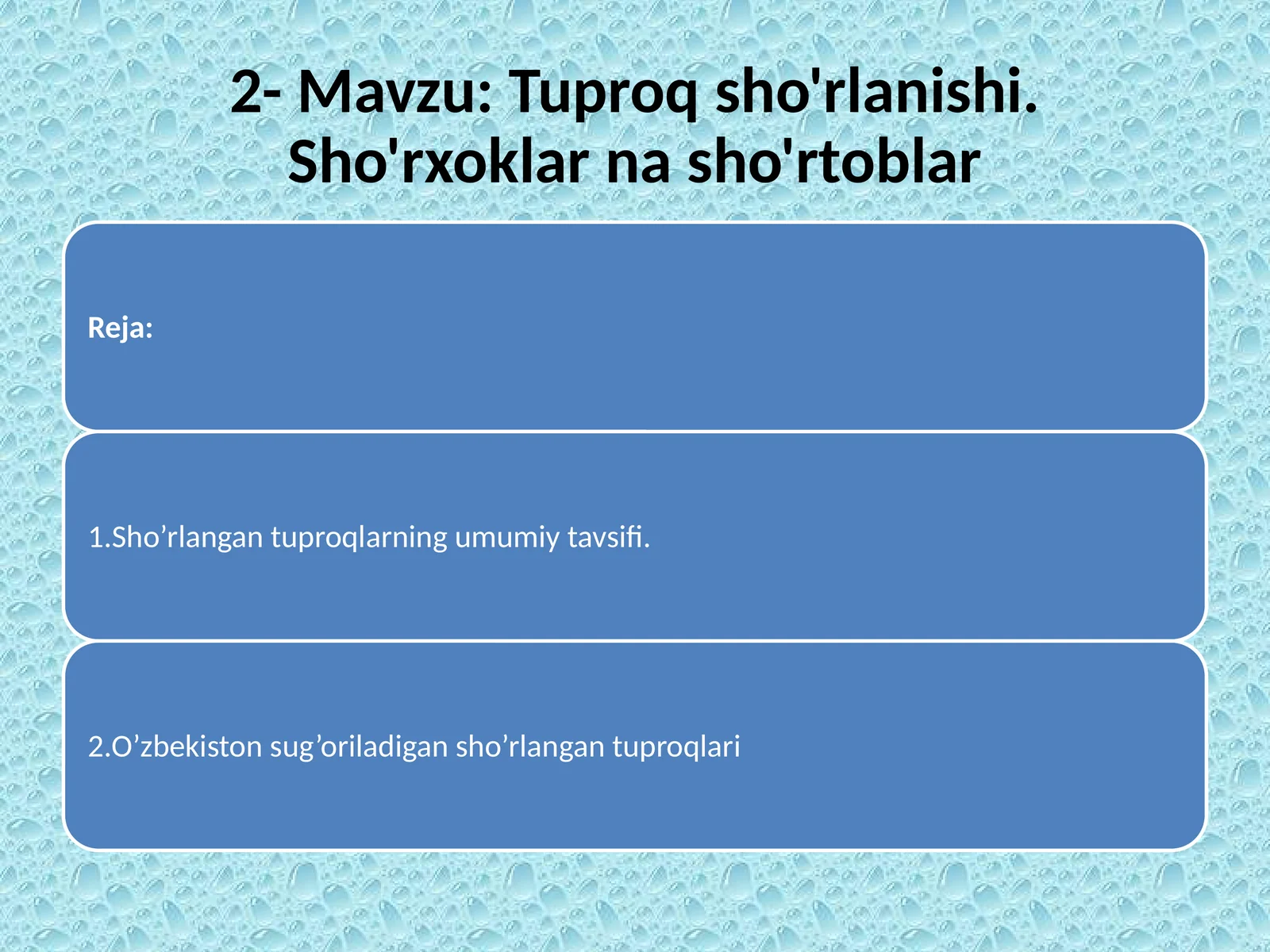 Tuproqsho'rlanishi.Sho'rxoklarnasho'rtoblar