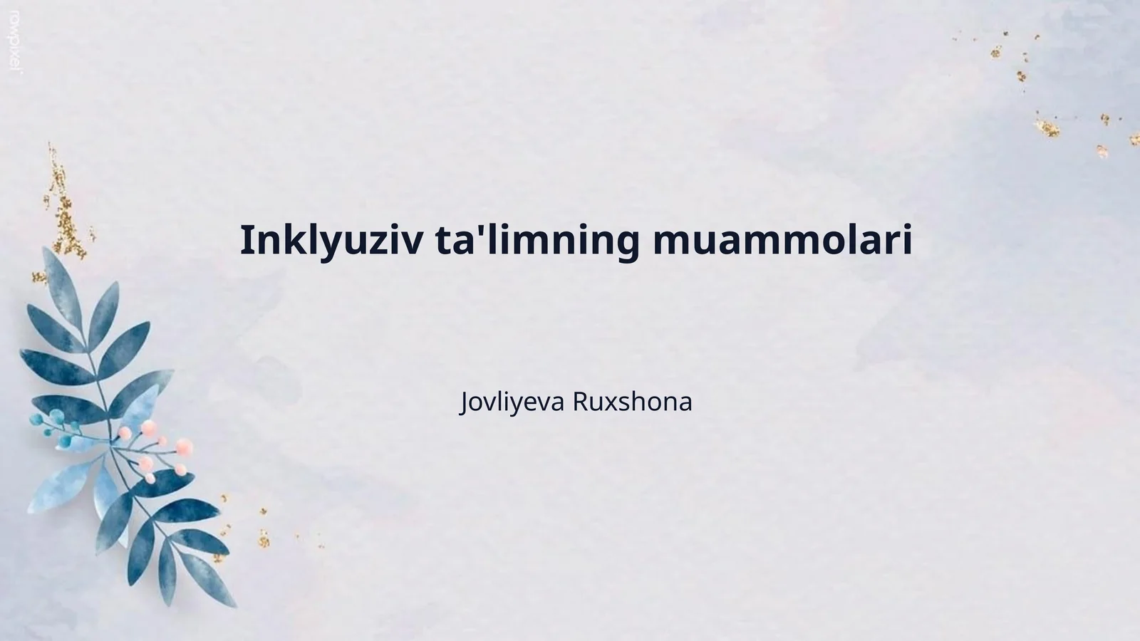 Inklyuziv ta'limning muammolari